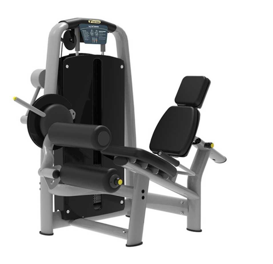 Leg Extension / Leg Curl