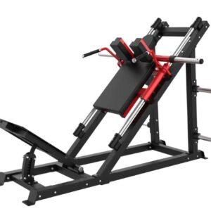 Hack Squat Leg press